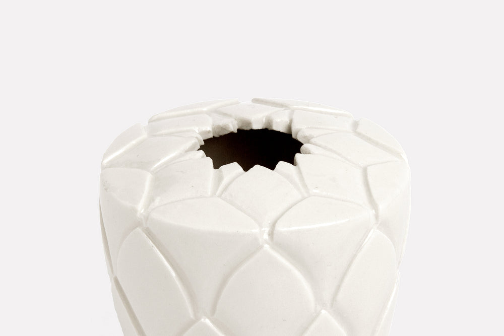 Protea Pot
