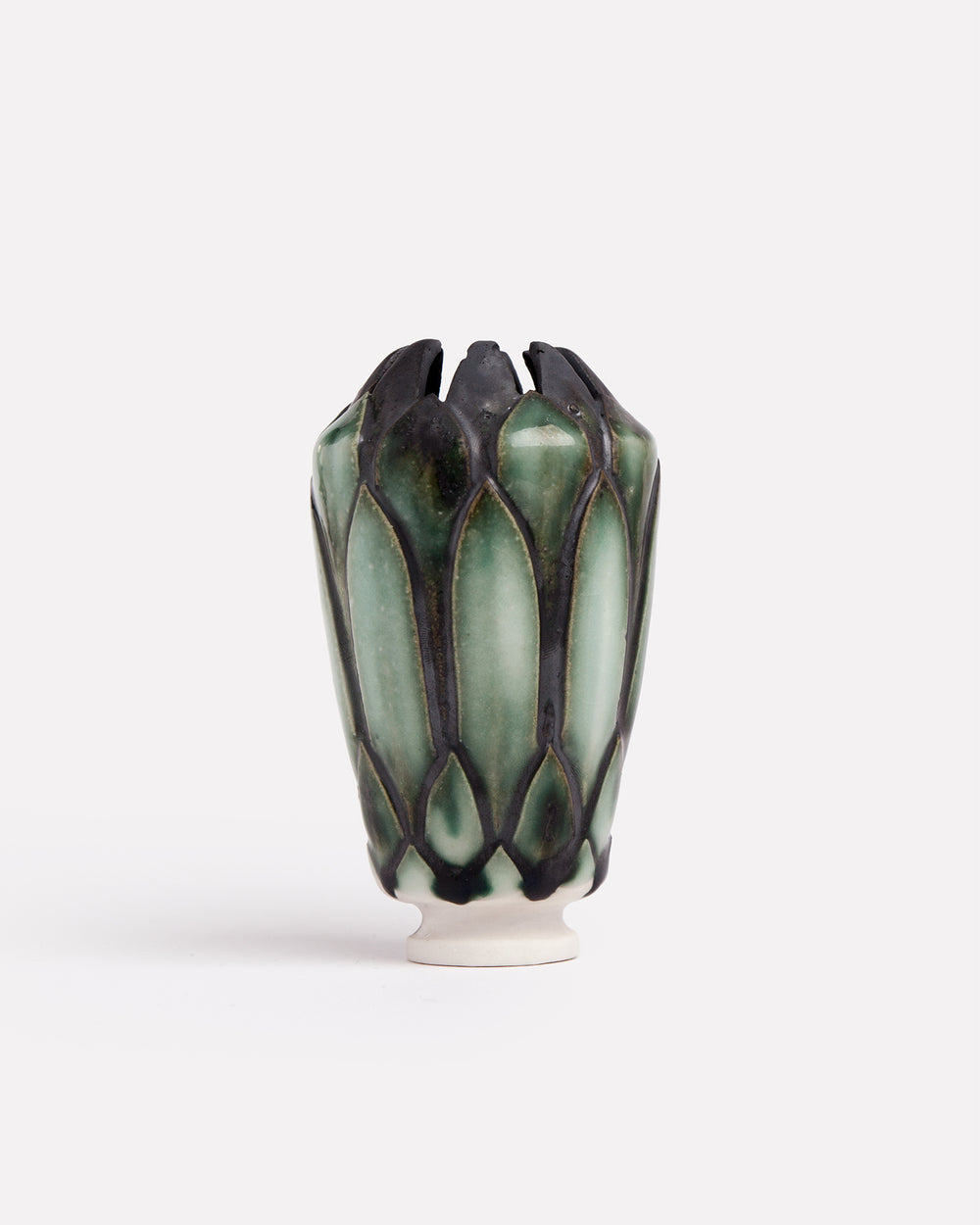 Protea Pot