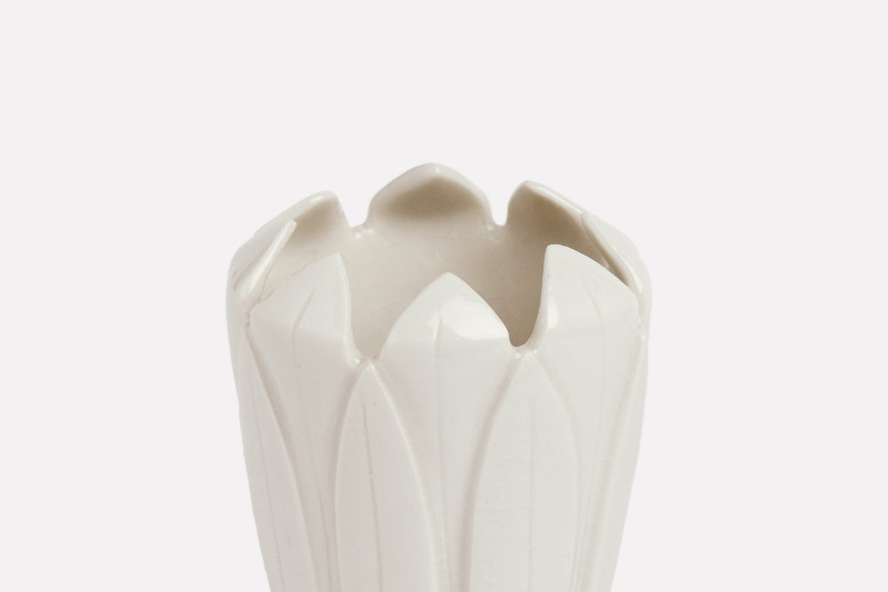 Protea Pot